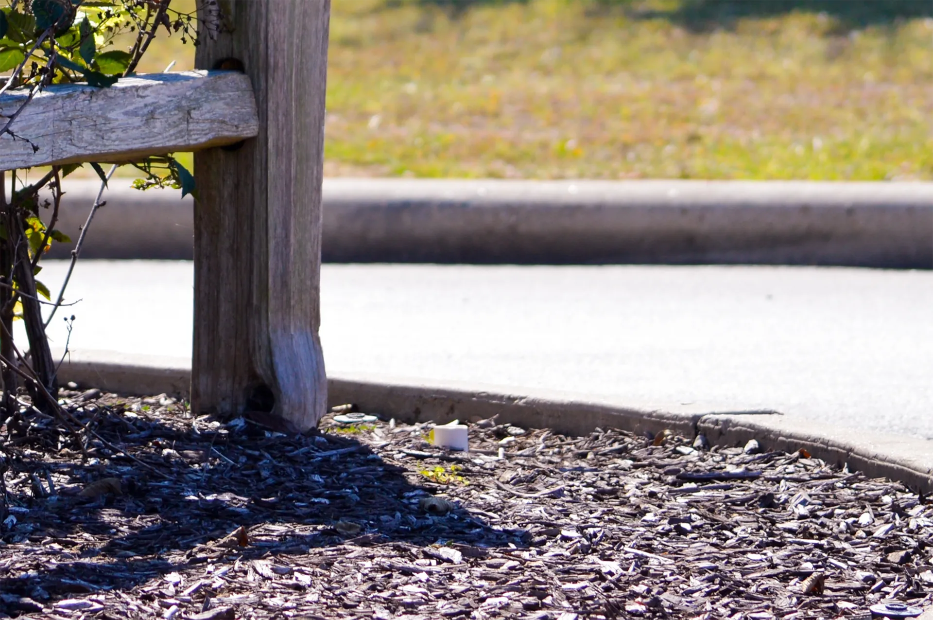 Mulch