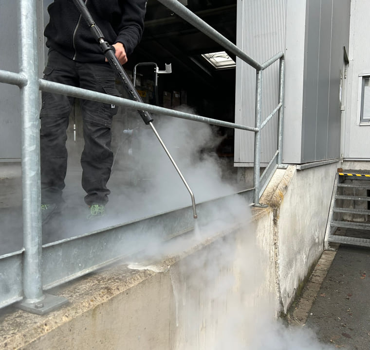 Profifuchs 400 V - Contrôle des mauvaises herbes et nettoyage à la vapeur pour une utilisation professionnelle