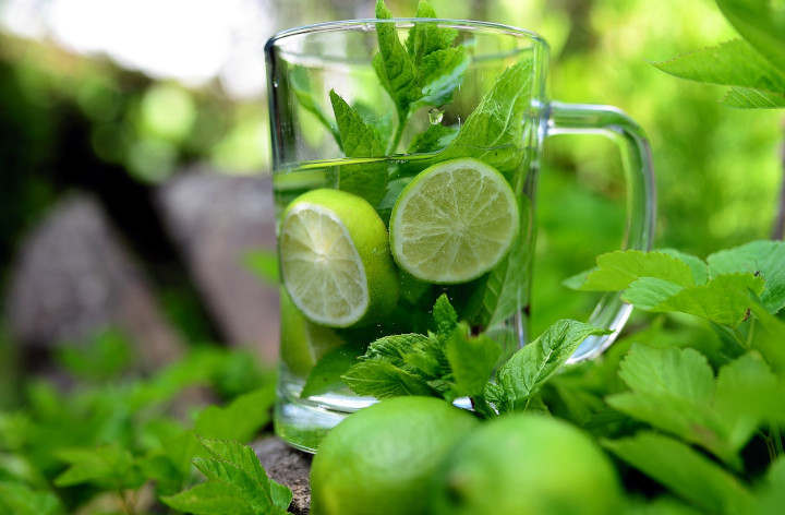 Recipes with goutweed Medicinal plant with Unkrautfuchs section